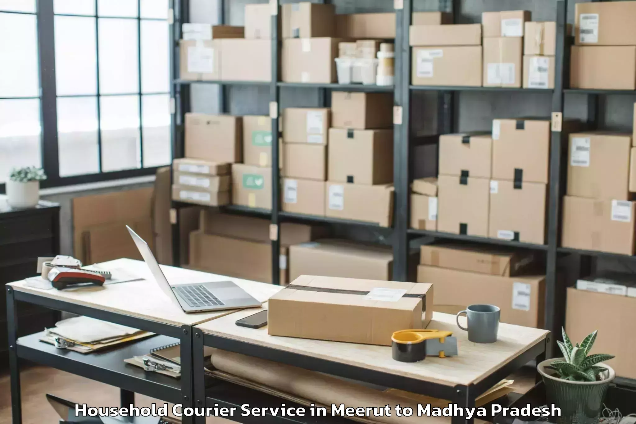 Get Meerut to Badnagar Household Courier